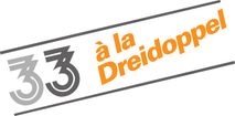 Logo 33
